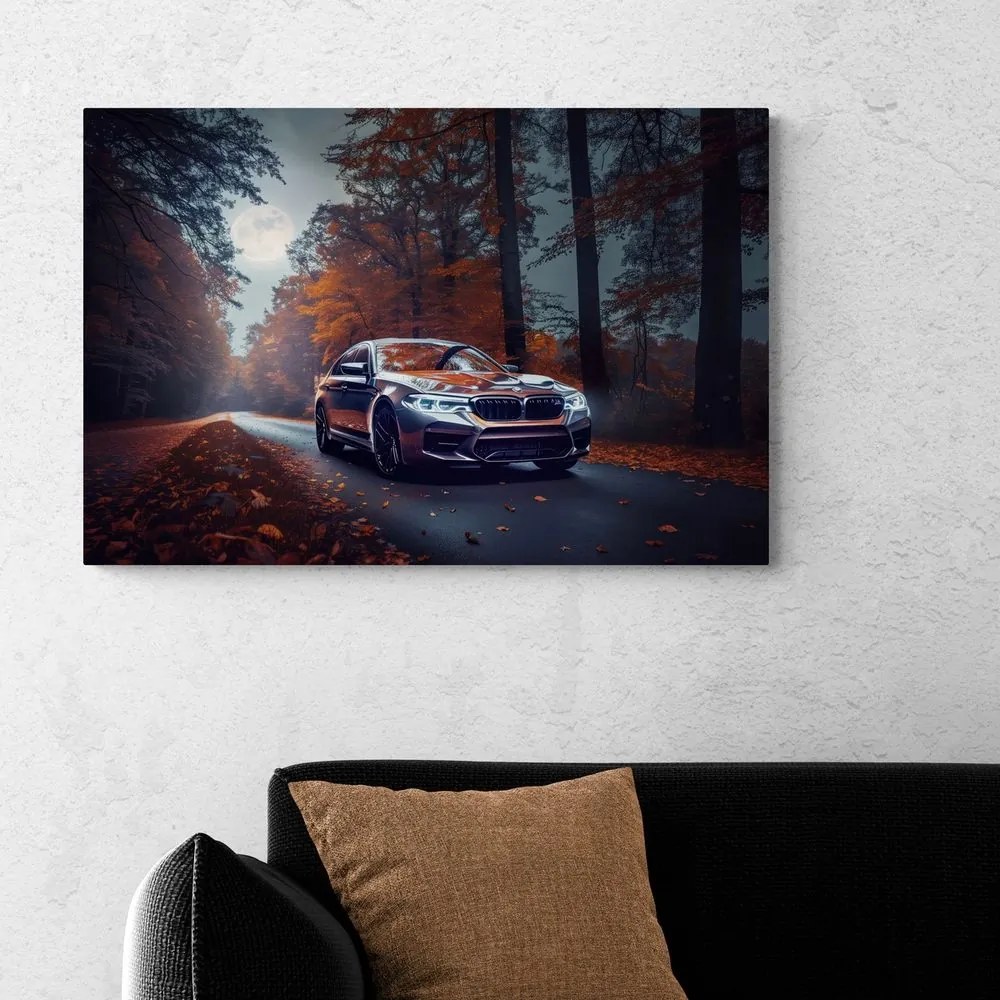 Obraz BMW v splne mesiaca