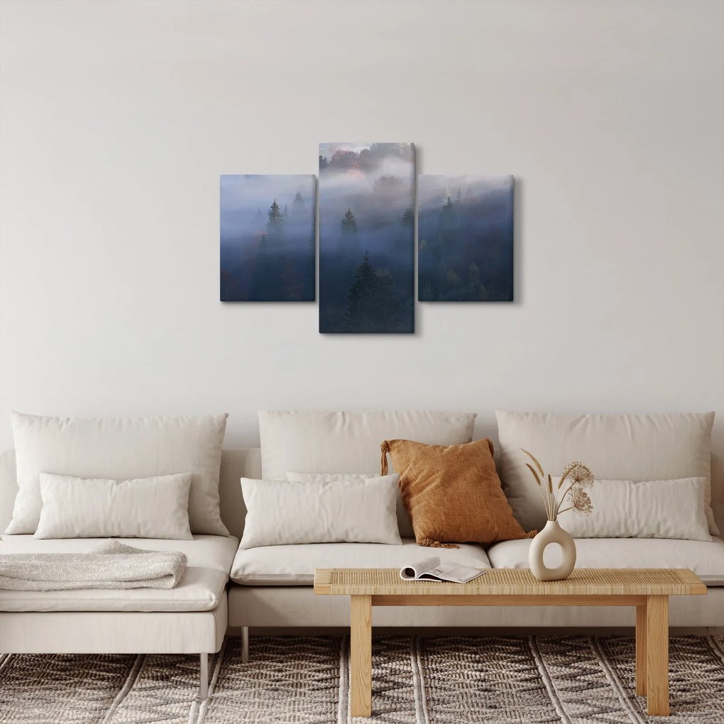 Obraz - Les v hmle, Karpaty, Ukrajina (90x60 cm)