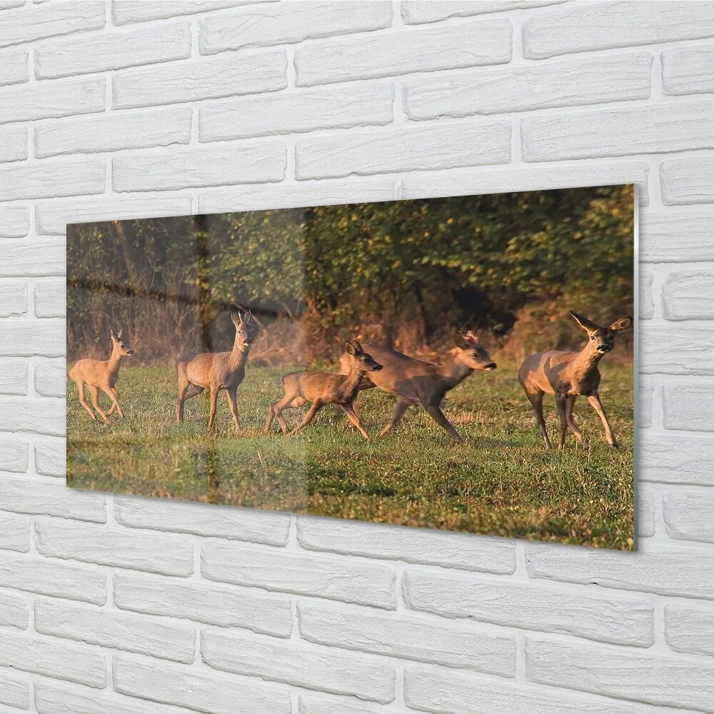 Sklenený obraz Deer Golf svitania 125x50 cm