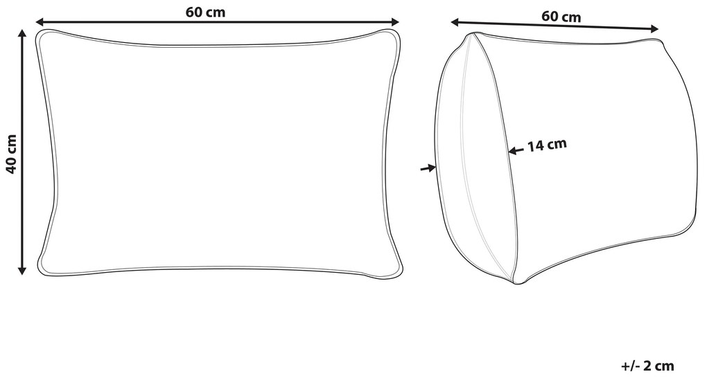 Bavlnený vankúš so strapcami 40 x 60 cm viacfarebný AGAVE Beliani