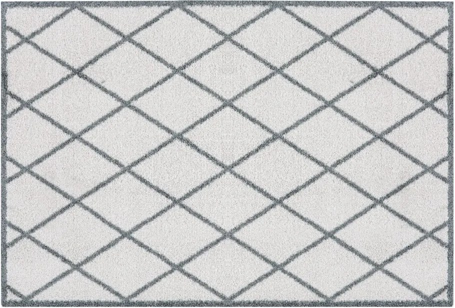 Sivá rohožka Zala Living Scale, 50 × 70 cm