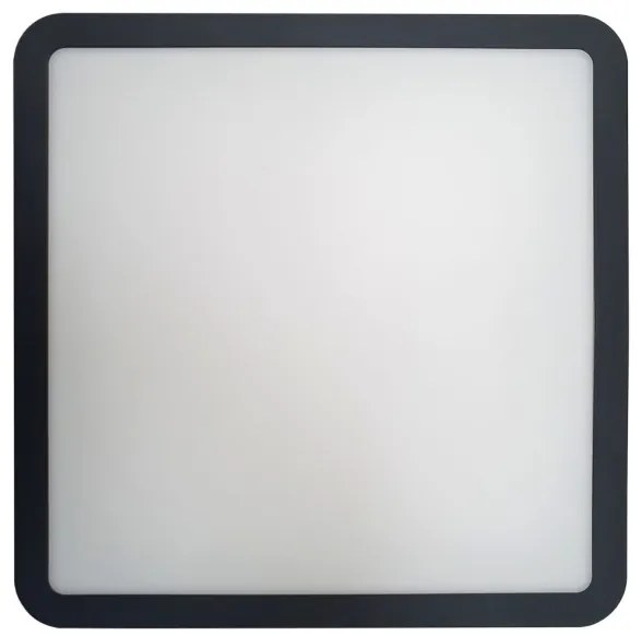 LED Kúp. stropné svietidlo ELLÉ LED/24W/230V 3000/4000/6500K 26x26 cm IP54 antr