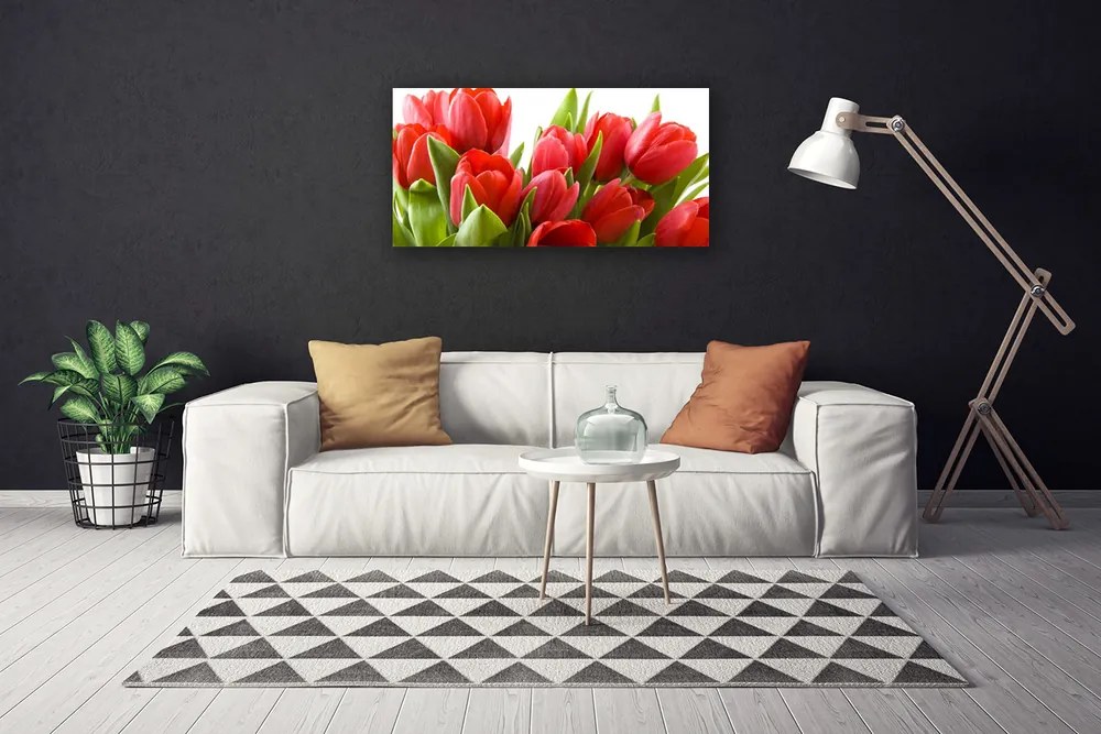 Obraz na plátne Tulipány kvety rastlina 100x50 cm