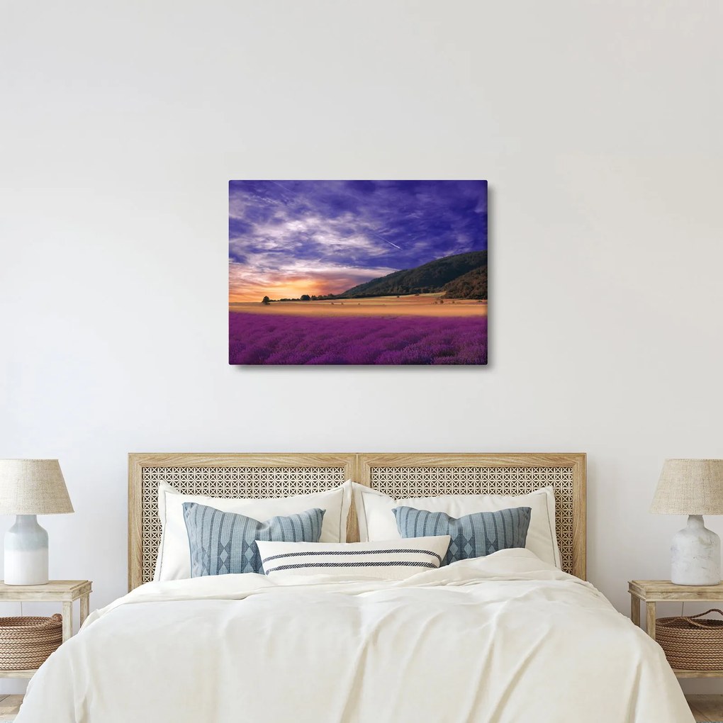 Obraz levanduľovej lúky (70x50 cm)