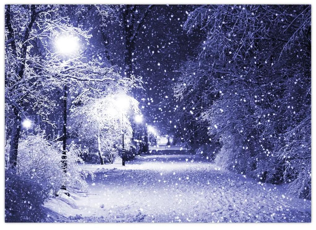 Sklenený obraz - Čarovná zimná noc (70x50 cm)