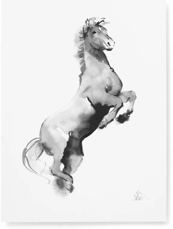 Plagát Horse 30x40