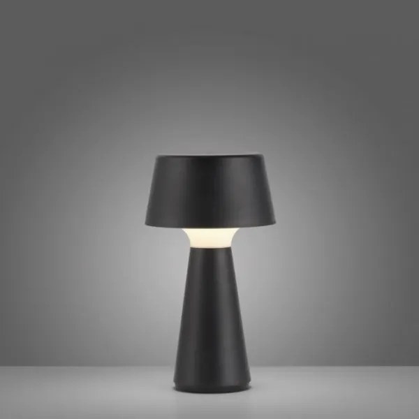 JUST LIGHT. 19260-18 - LED Stmievateľná vonkajšia lampa ABERA LED/3W/3,7V IP54