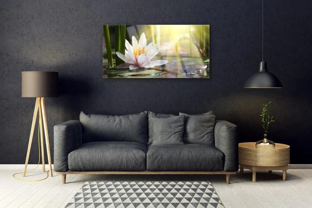 Skleneny obraz Vodné lilie slnko rybník 120x60 cm