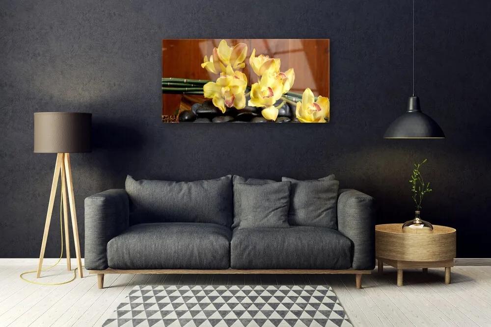 Obraz plexi Kvet kamene rastlina 100x50 cm
