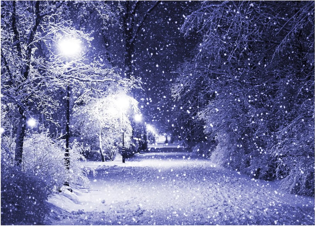 Obraz - Čarovná zimná noc (70x50 cm)