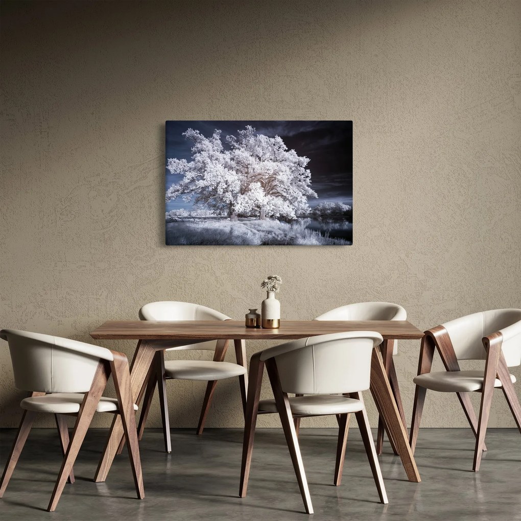 Obraz - Snehobiely strom (90x60 cm)
