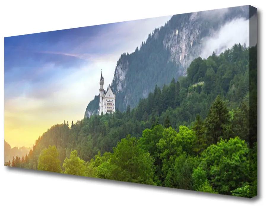 Obraz Canvas Zámok v horách les príroda 140x70cm
