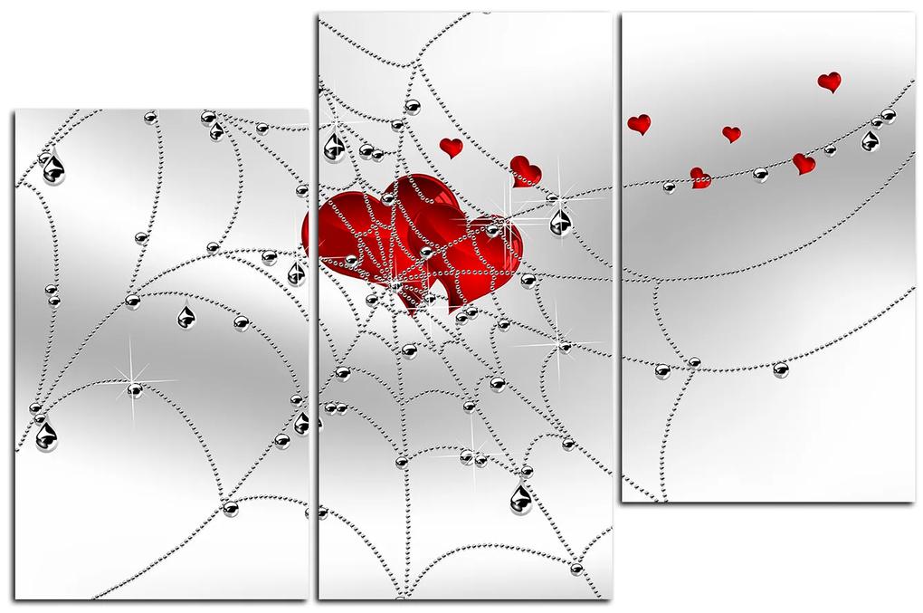 Obraz na plátne - Srdce v striebornej pavučine 178C (135x90 cm)