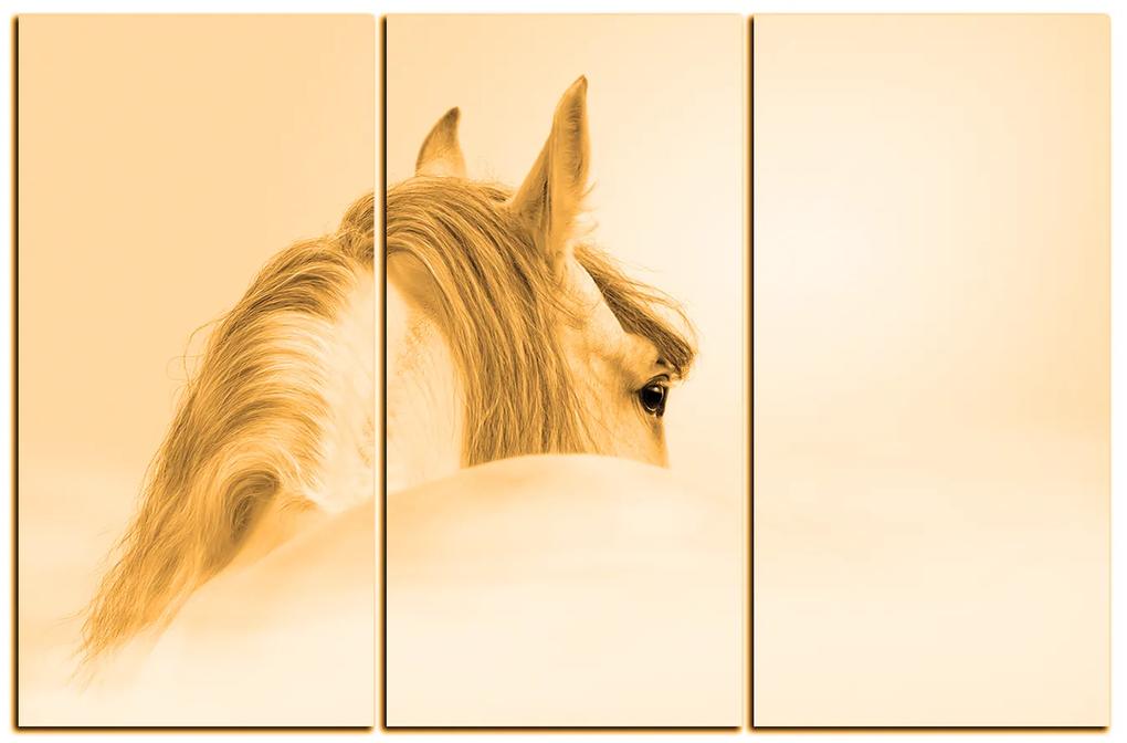 Obraz na plátne - Andalúzsky kôň v hmle 1219FB (120x80 cm)