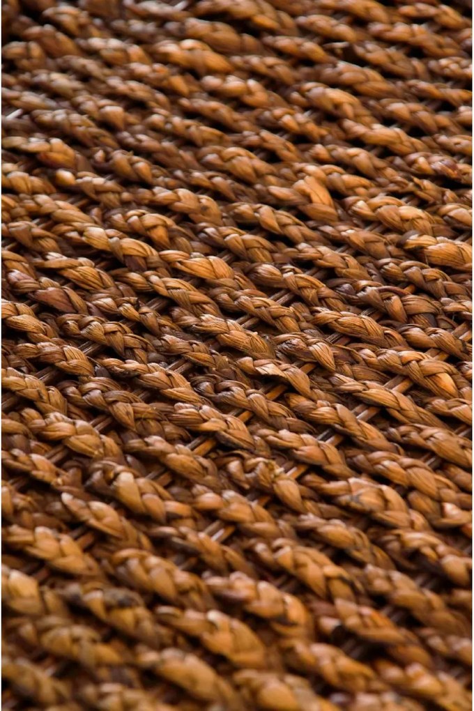 Truhla na bielizeň LEA, vodný hyacint, šírka 84 cm, hnedá