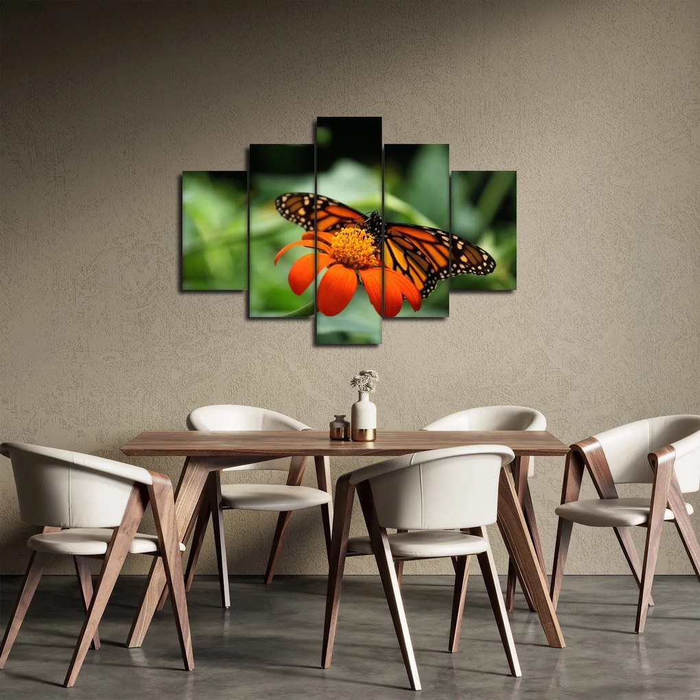 Obraz motýľa na kvetine (150x105 cm)