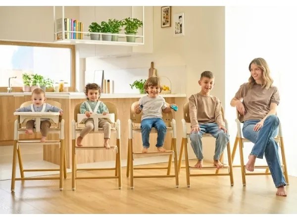 Lionelo - Detská jedálenská stolička 3v1 CELIA Grey Wood