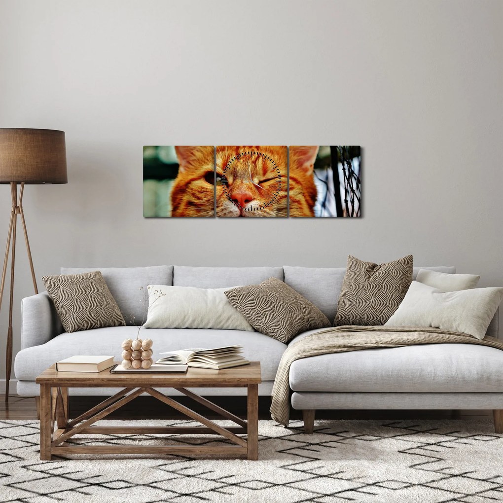 Obraz žmurkajúce mačky (s hodinami) (90x30 cm)