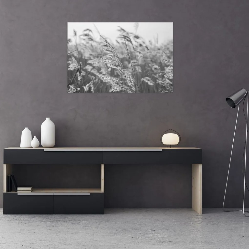 Obraz - Tráva vo vetre (90x60 cm)