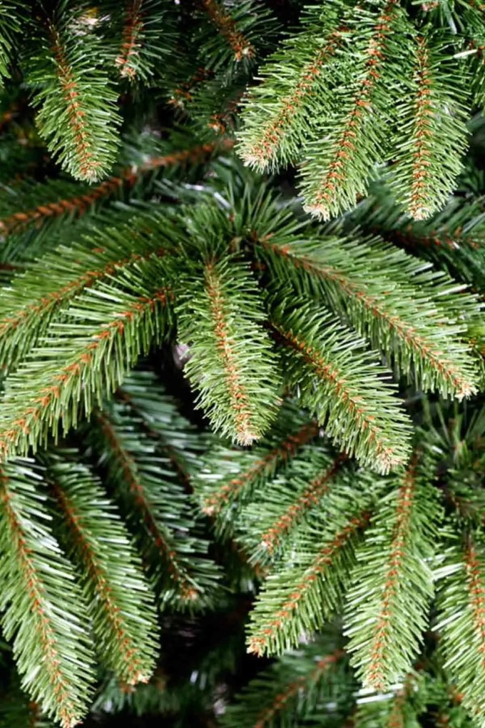 Smrek Írsky PVC 220 cm - Umelý vianočný stromček