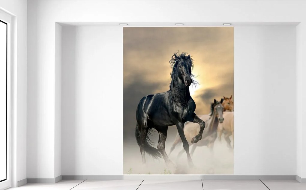 Gario Fototapeta Nádherný čierny kôň Materiál: Samolepiaca, Rozmery: 200 x 135 cm