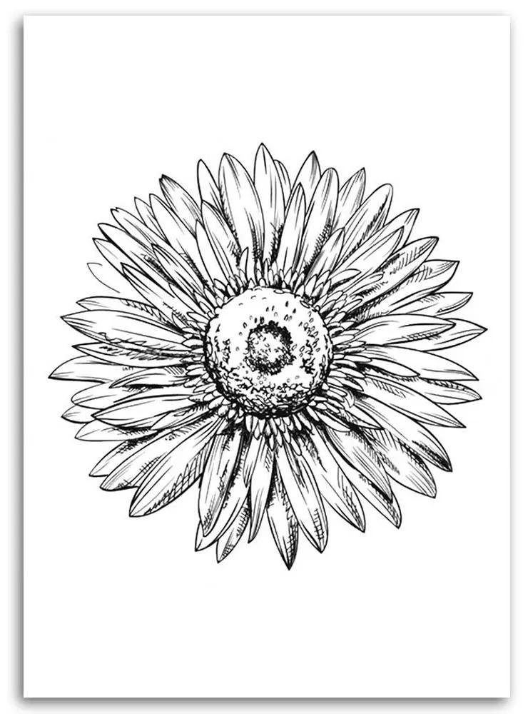Gario Obraz na plátne Kvetinový náčrt Rozmery: 40 x 60 cm