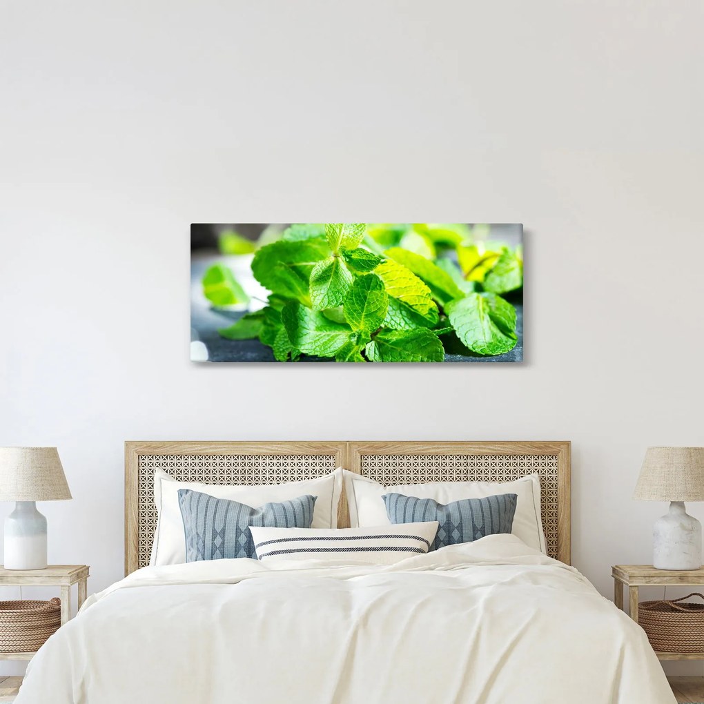 Obraz mäty (120x50 cm)