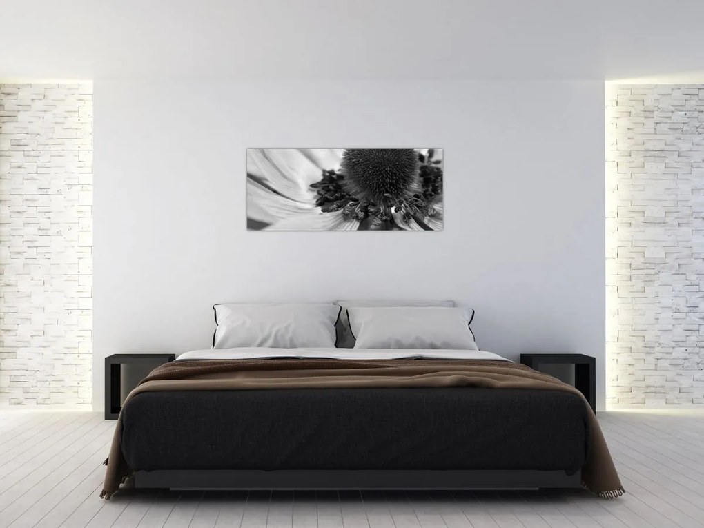 Obraz - Kvetina v čiernobielej (120x50 cm)