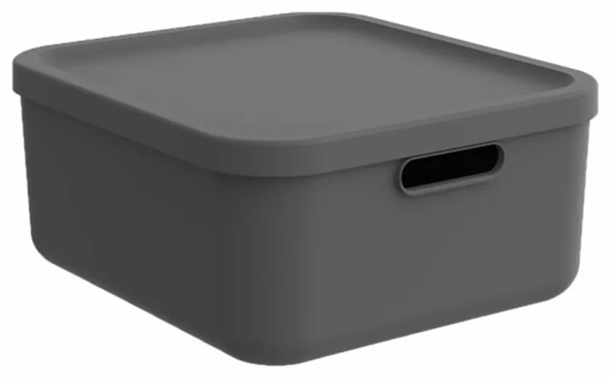 Rotho Úložný box, rovný s víkem, 20l, antracit ALBU LIGHT, 40x36x18
