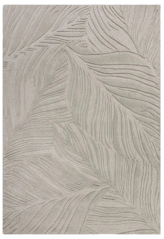 Sivý vlnený koberec Flair Rugs Lino Leaf, 120 x 170 cm