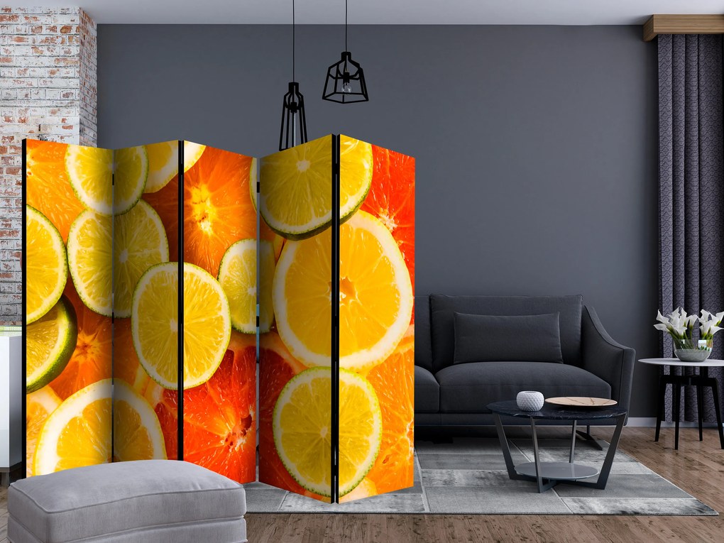 Artgeist Paraván - Citrus fruits [Room Dividers]