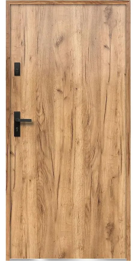 Dvere vchodové Artemida P55 90P Dub Sonoma