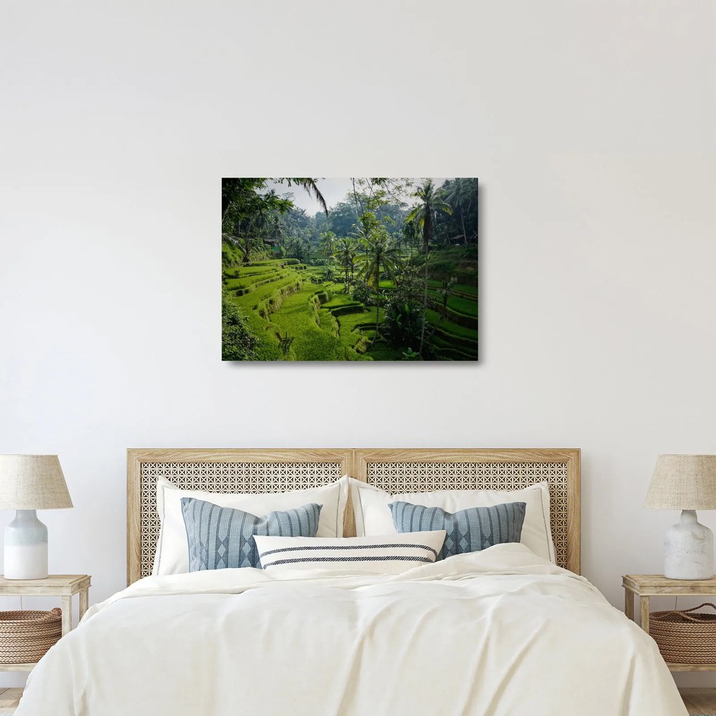 Sklenený obraz ryžových terás Tegalalang, Bali (70x50 cm)