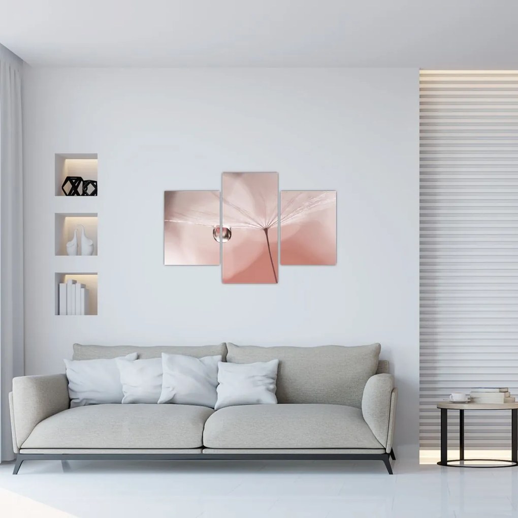 Obraz - Kvapka rosy (90x60 cm)