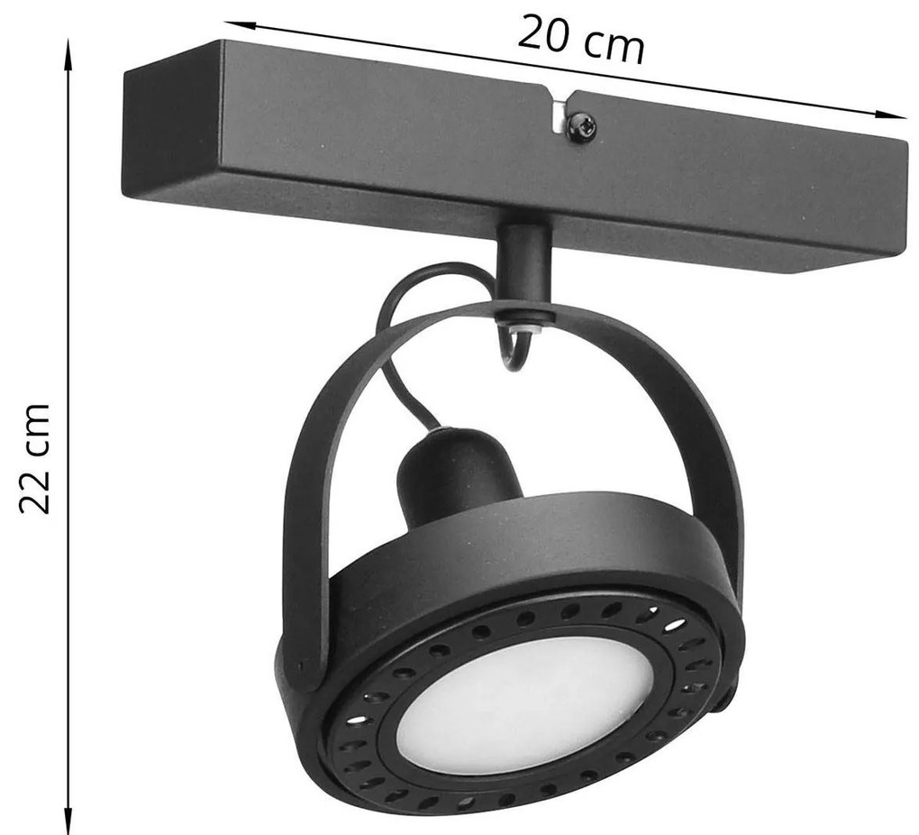 Stropné LED svietidlo CHEST, 1xLED max.20W, (výber z 2 farieb), (možnosť polohovania)