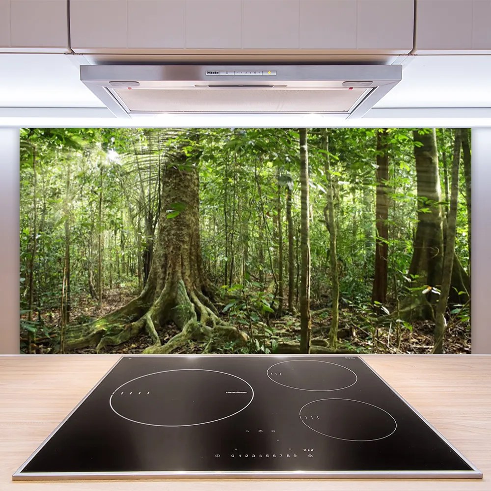 Sklenený obklad Do kuchyne Les príroda džungle 100x50 cm