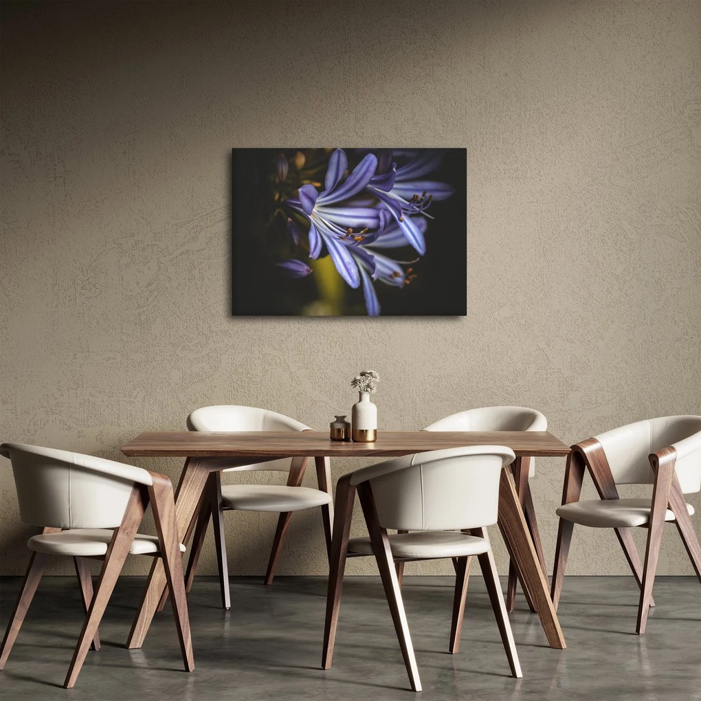 Obraz - Lila (70x50 cm)