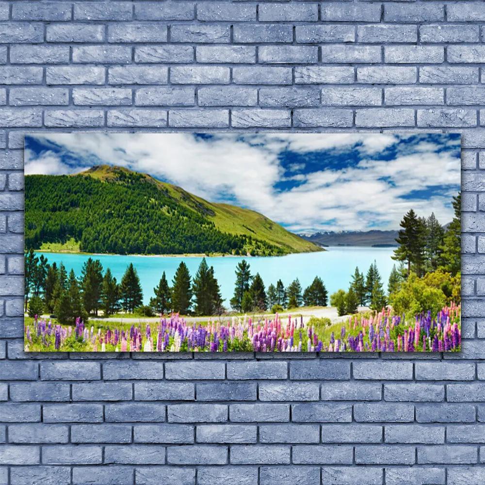 Obraz plexi Hora les jazero príroda 120x60 cm