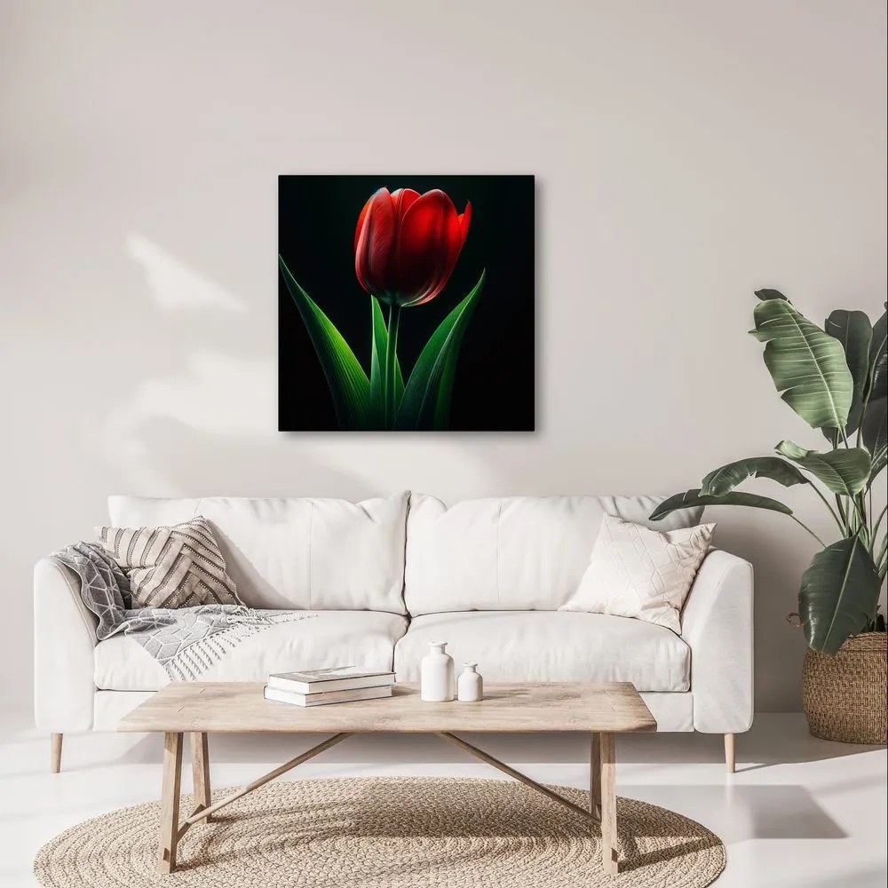 Obraz kvet tulipánu v noci