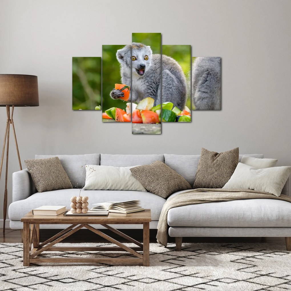 Obraz lemura (150x105 cm)