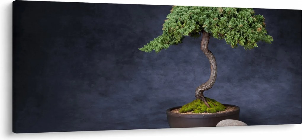 Obraz - Bonsai (120x50 cm)