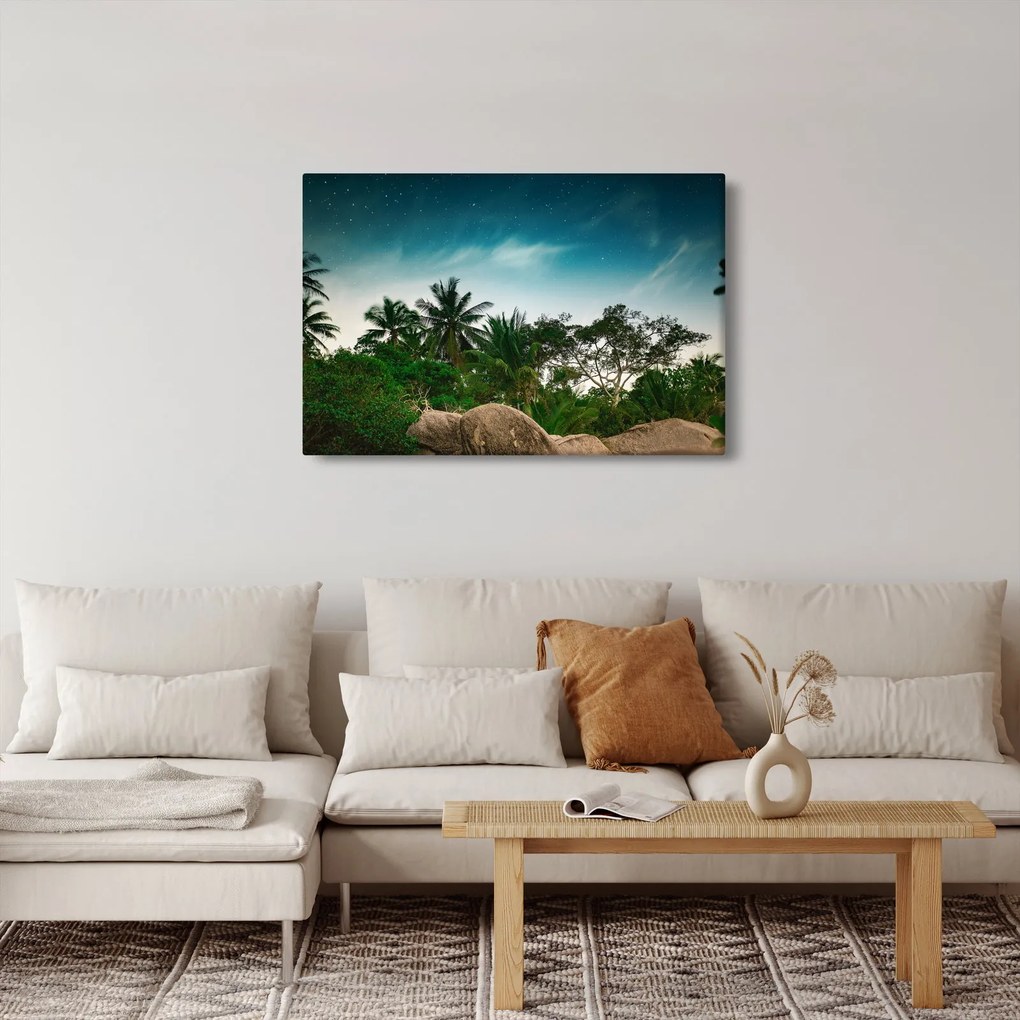 Obraz - palmy (90x60 cm)