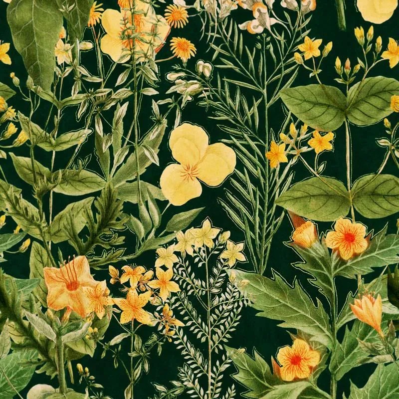MINDTHEGAP Mimulus Anthracite - tapeta