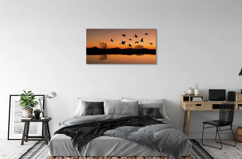 Obraz na plátne Lietajúce vtáky sunset 120x60 cm