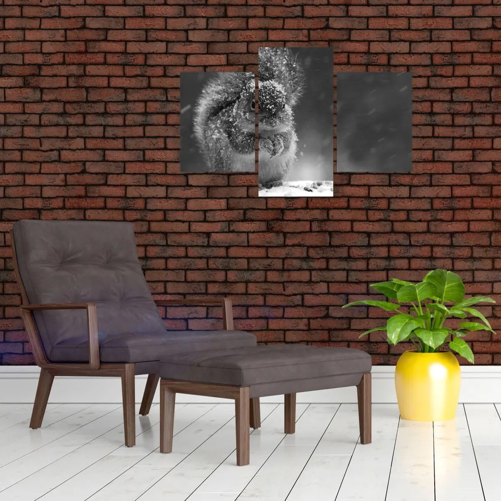Obraz - Veverička v zime (90x60 cm)