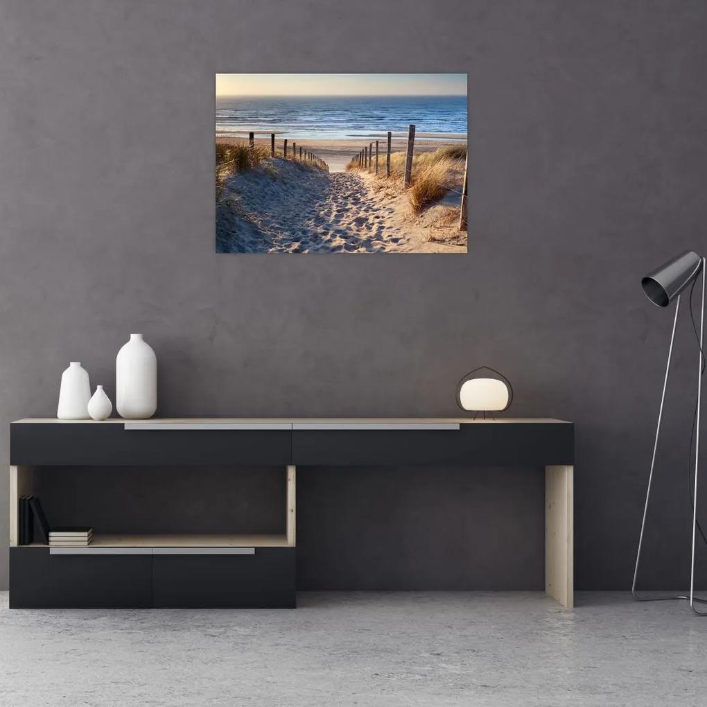 Sklenený obraz - Cesta k pláži Severného mora, Holandsko (70x50 cm)