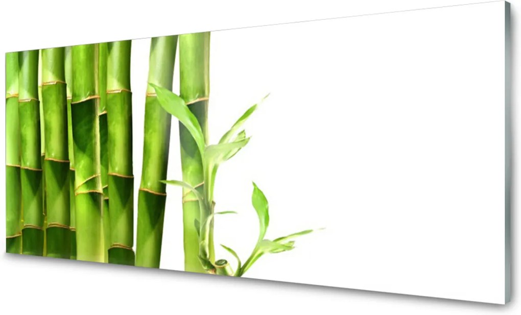 Obraz na skle Sklenený Bambus Rastlina