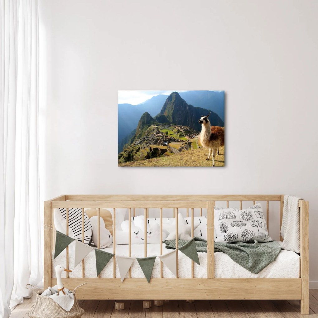 Obrázok - Lama a Machu Picchu (70x50 cm)