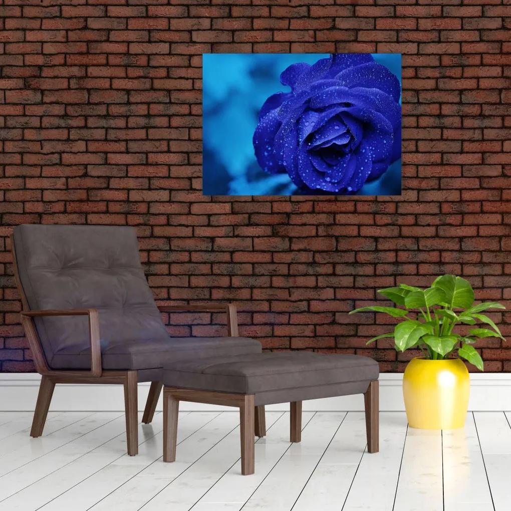 Sklenený obraz modrej ruže (70x50 cm)