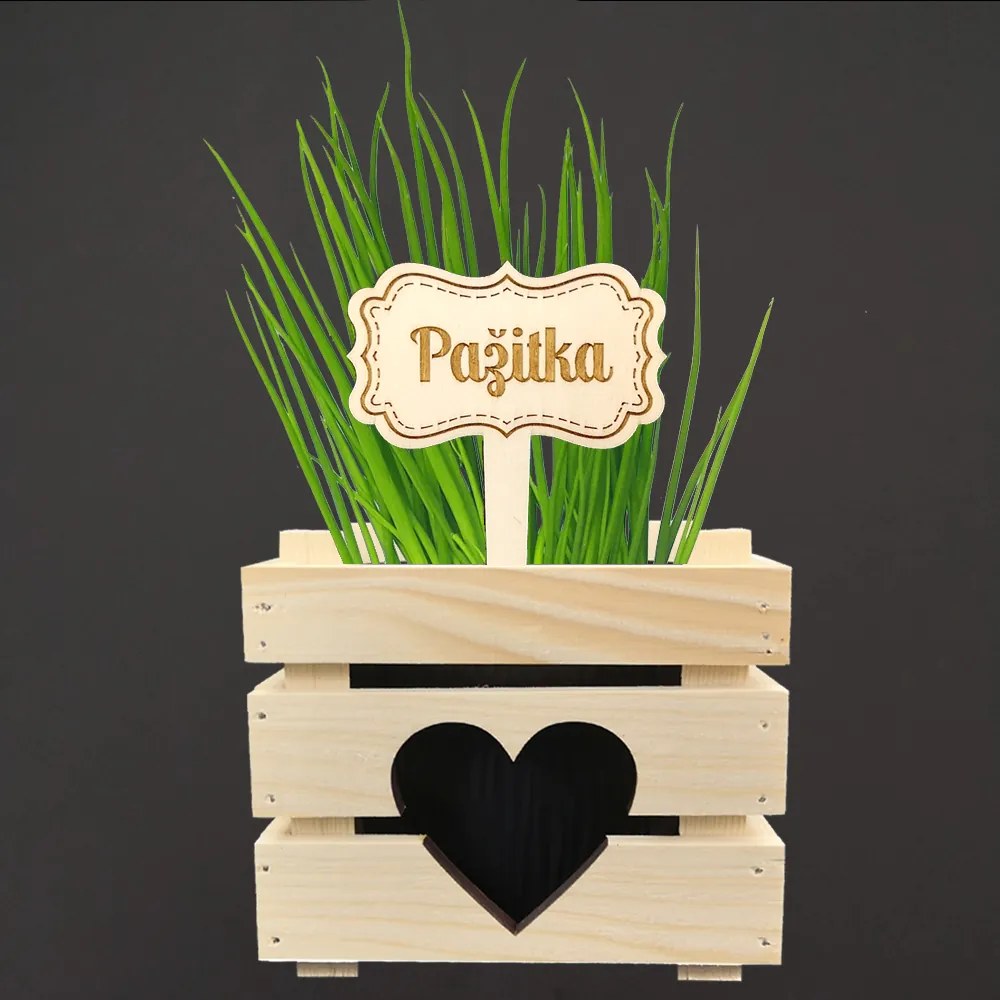 AMADEA Drevený zápich - ceduľka na bylinky Pažítka, výška 20 cm, český výrobok